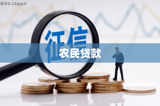 中宁农民贷款