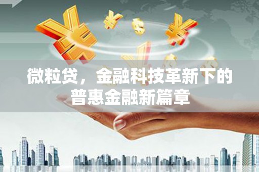 中宁微粒贷，金融科技革新下的普惠金融新篇章