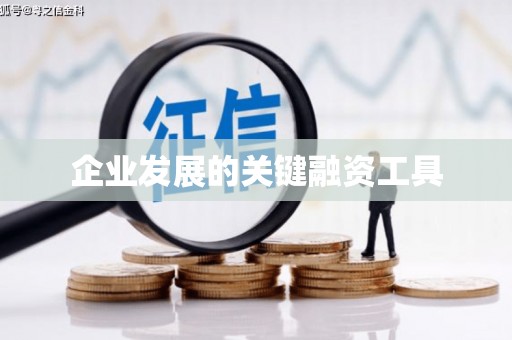 中宁企业发展的关键融资工具