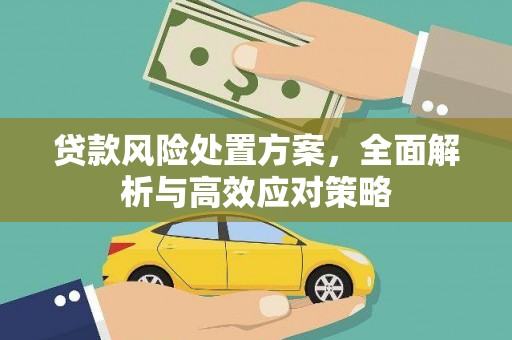 中宁贷款风险处置方案，全面解析与高效应对策略