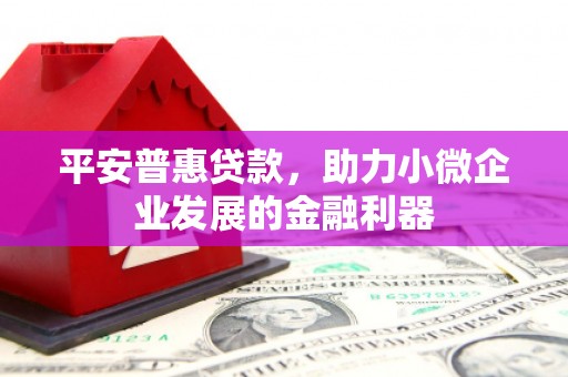 中宁平安普惠贷款，助力小微企业发展的金融利器