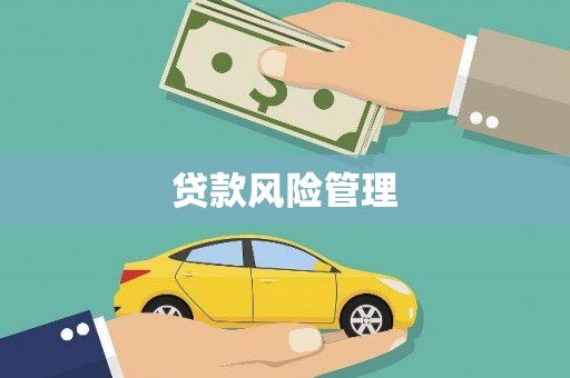 中宁贷款风险管理
