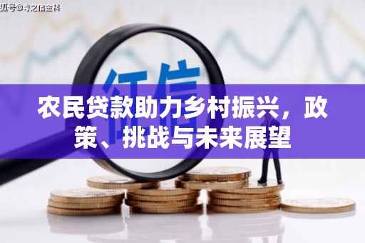 中宁农民贷款助力乡村振兴，政策、挑战与未来展望