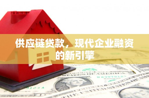 中宁供应链贷款，现代企业融资的新引擎