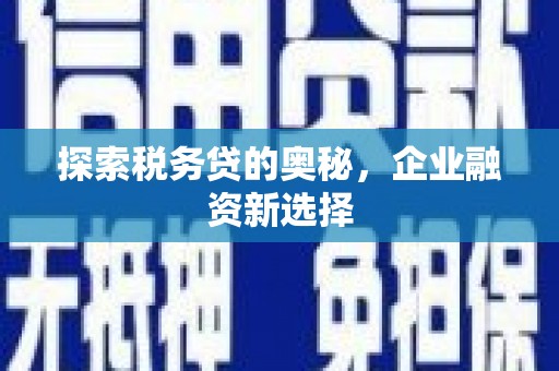 中宁探索税务贷的奥秘，企业融资新选择
