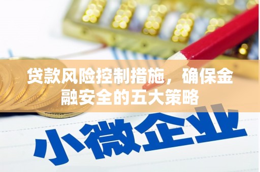 中宁贷款风险控制措施，确保金融安全的五大策略