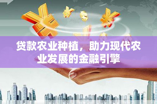中宁贷款农业种植，助力现代农业发展的金融引擎