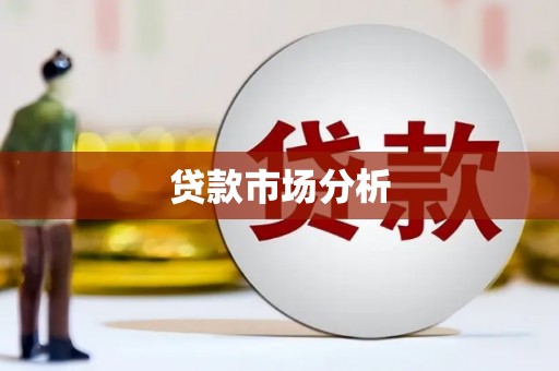 中宁贷款市场分析