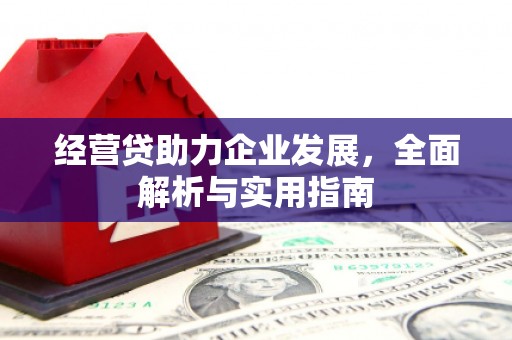 中宁经营贷助力企业发展，全面解析与实用指南