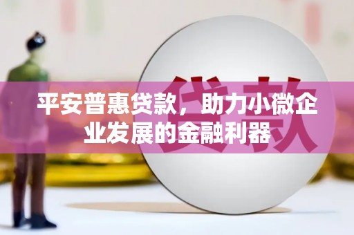 中宁平安普惠贷款，助力小微企业发展的金融利器