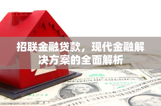 中宁招联金融贷款，现代金融解决方案的全面解析