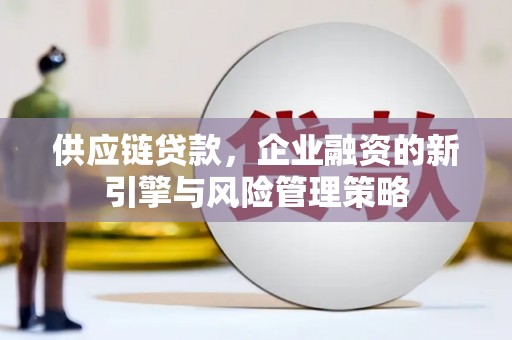 中宁供应链贷款，企业融资的新引擎与风险管理策略