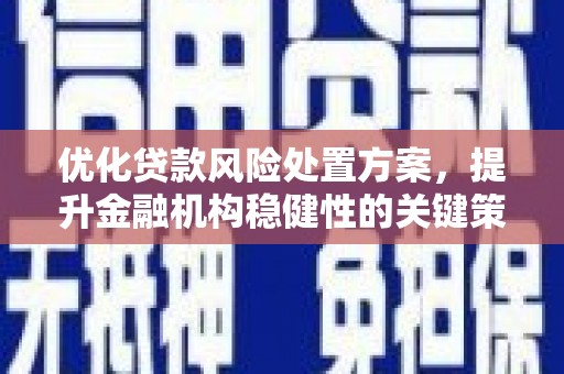 中宁优化贷款风险处置方案，提升金融机构稳健性的关键策略