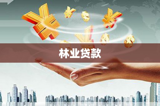 中宁林业贷款