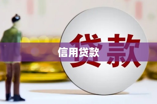 中宁信用贷款