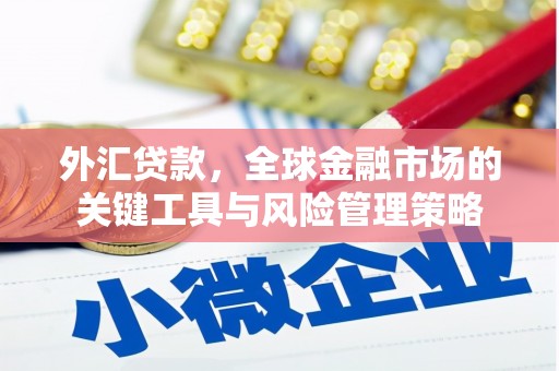 中宁外汇贷款，全球金融市场的关键工具与风险管理策略