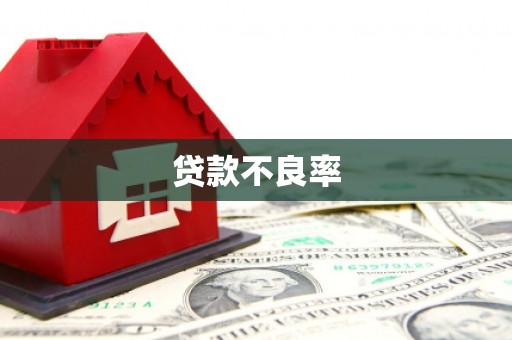 中宁贷款不良率