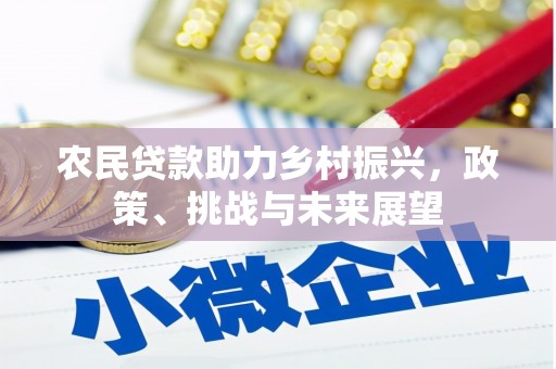 中宁农民贷款助力乡村振兴，政策、挑战与未来展望