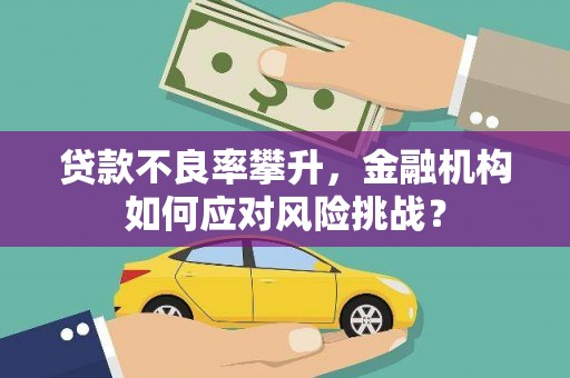 中宁贷款不良率攀升，金融机构如何应对风险挑战？