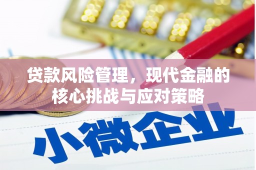 中宁贷款风险管理，现代金融的核心挑战与应对策略