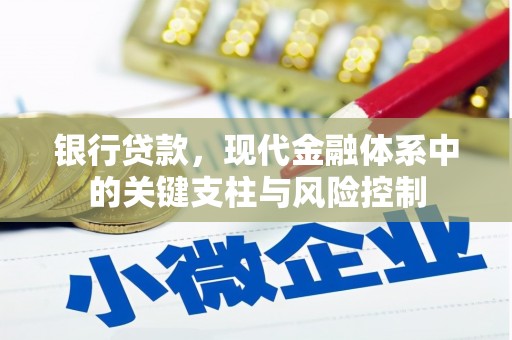 中宁银行贷款，现代金融体系中的关键支柱与风险控制