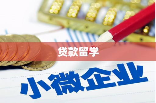 中宁贷款留学
