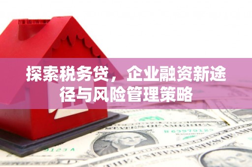 中宁探索税务贷，企业融资新途径与风险管理策略