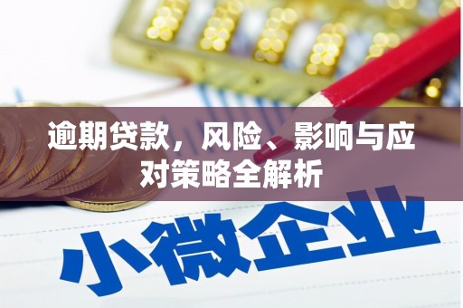 中宁逾期贷款，风险、影响与应对策略全解析