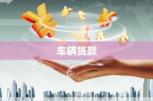 中宁车辆贷款