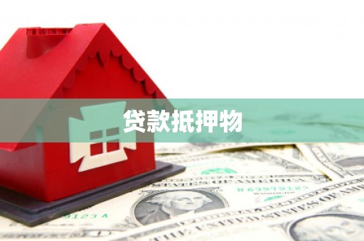 中宁贷款抵押物