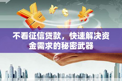 中宁不看征信贷款，快速解决资金需求的秘密武器