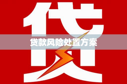 中宁贷款风险处置方案