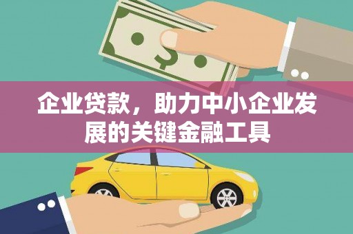 中宁企业贷款，助力中小企业发展的关键金融工具