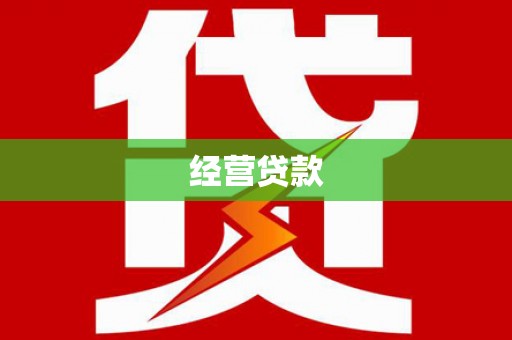 中宁经营贷款