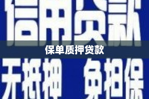 中宁保单质押贷款