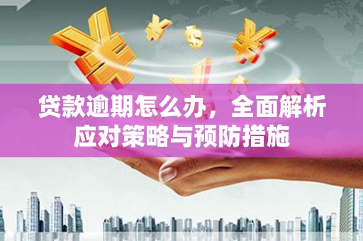 中宁贷款逾期怎么办，全面解析应对策略与预防措施