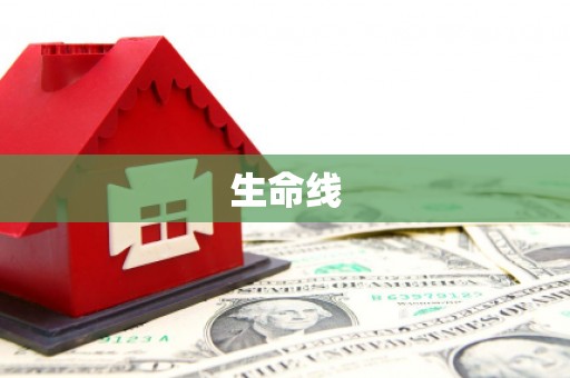 中宁生命线
