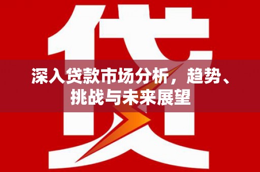 中宁深入贷款市场分析，趋势、挑战与未来展望