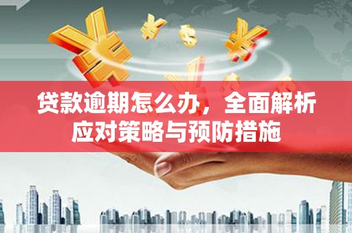 中宁贷款逾期怎么办，全面解析应对策略与预防措施