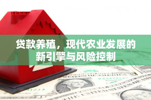 中宁贷款养殖，现代农业发展的新引擎与风险控制