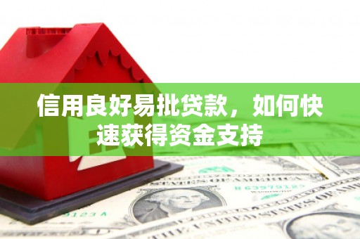 中宁信用良好易批贷款，如何快速获得资金支持