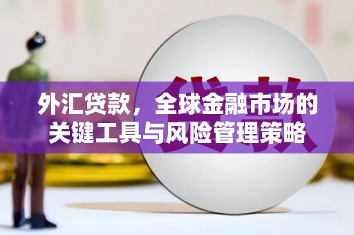 中宁外汇贷款，全球金融市场的关键工具与风险管理策略