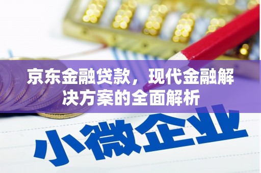 中宁京东金融贷款，现代金融解决方案的全面解析