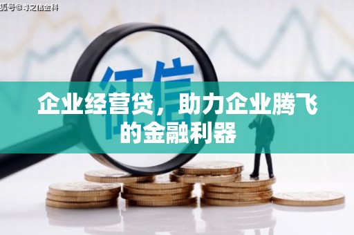 中宁企业经营贷，助力企业腾飞的金融利器