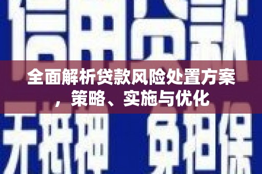 中宁全面解析贷款风险处置方案，策略、实施与优化