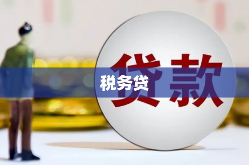 中宁税务贷