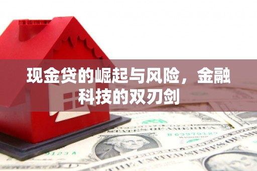中宁现金贷的崛起与风险，金融科技的双刃剑