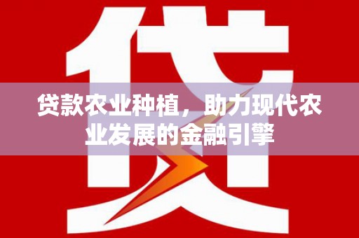 中宁贷款农业种植，助力现代农业发展的金融引擎