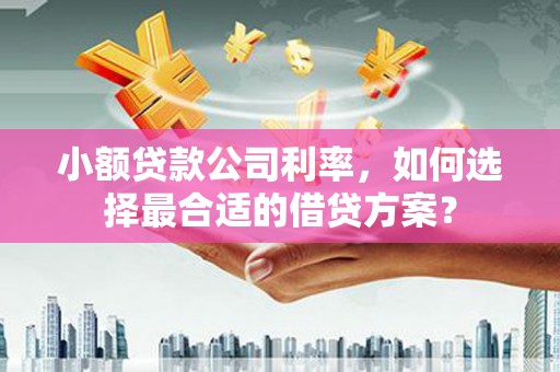 中宁小额贷款公司利率，如何选择最合适的借贷方案？