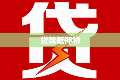 中宁贷款抵押物